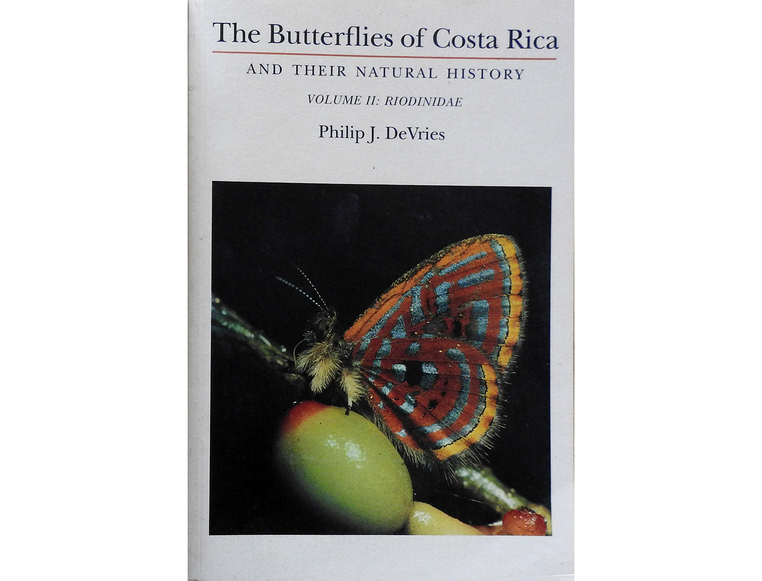 butterflies of costa rica vol2